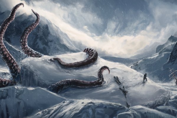 Kraken link