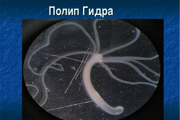 Kraken зеркало даркнет