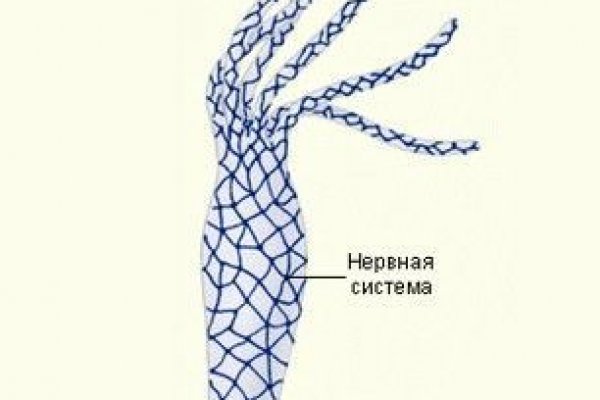 Даркнет заказ